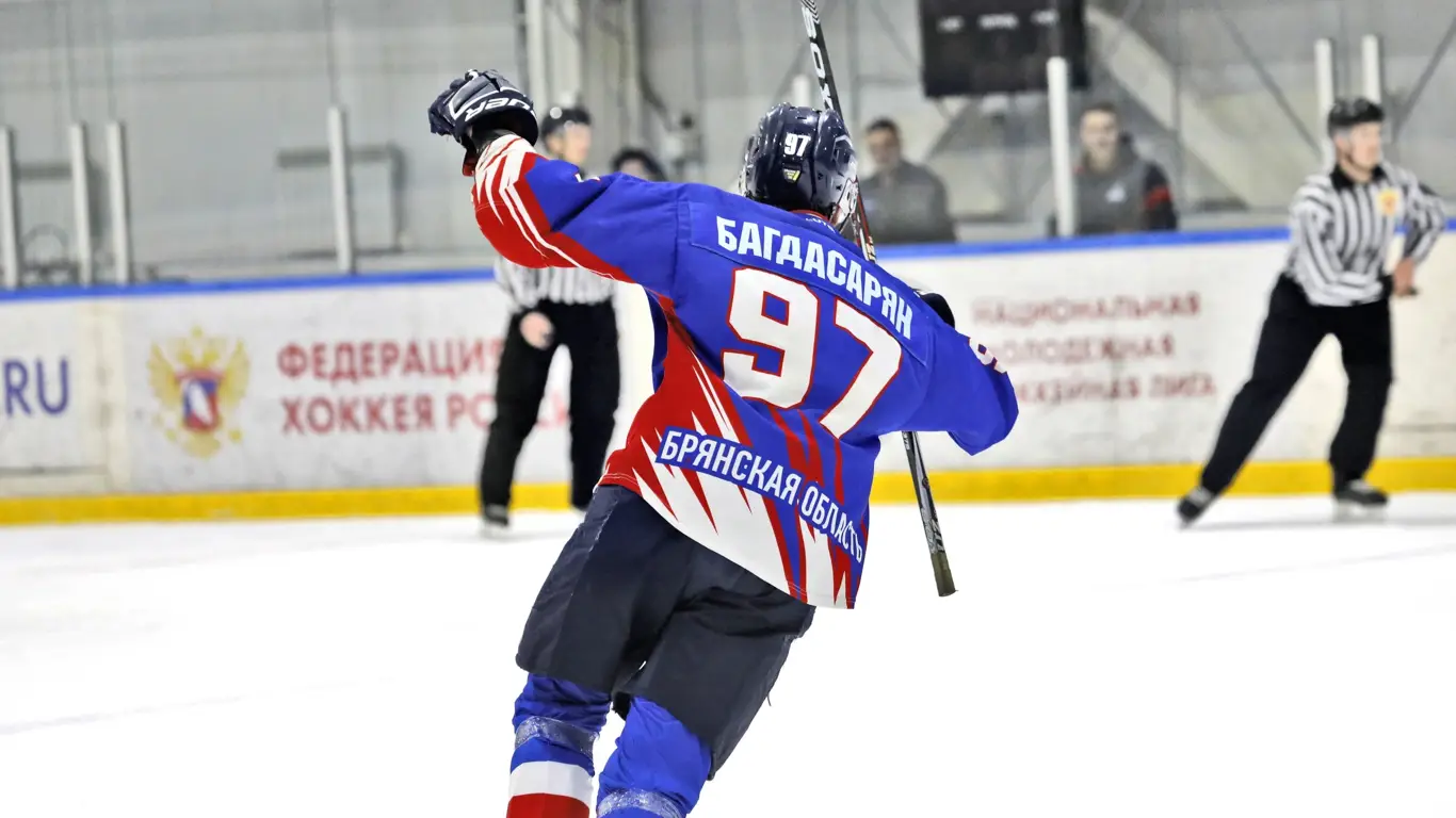 Брянск - Воевода, 100225