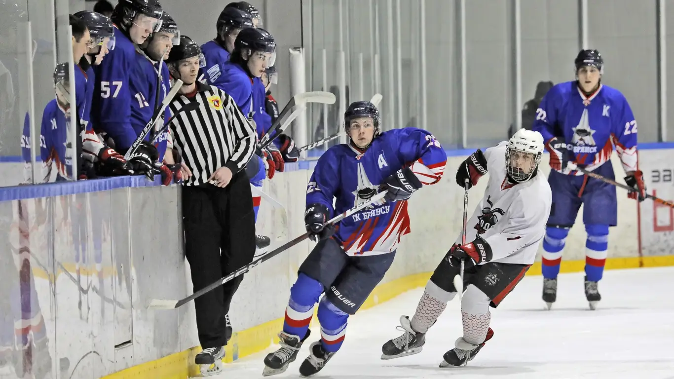 Брянск - Воевода, 100225